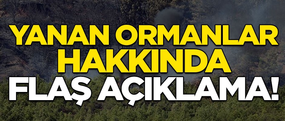 Orman yangınlarıyla ilgili flaş açıklama! "Söz konusu alanların ticari amaç için..."