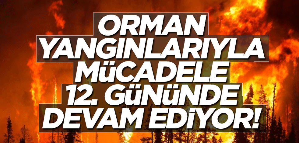 Orman yangınlarıyla mücadele 12. gününde devam ediyor! İşte son durum