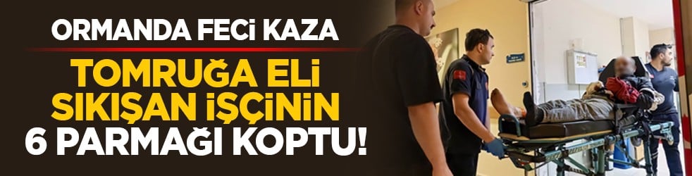 Ormanda feci kaza: Tomruğa sıkışan işçinin 6 parmağı koptu!