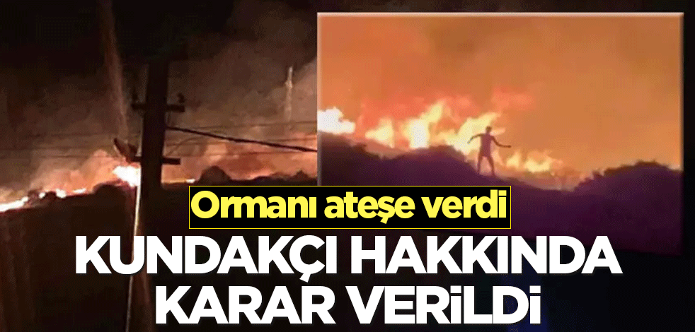 Ormanı ateşe veren kundakçı hakkında karar verildi