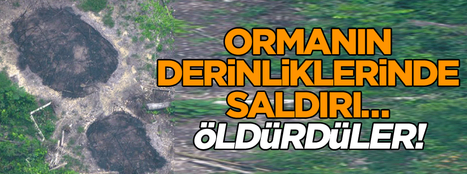 Ormanın derinliklerinde saldırı… Öldürdüler!