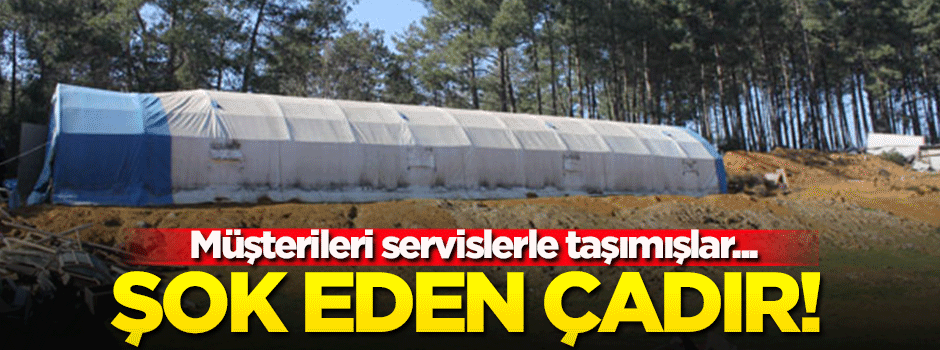 Ormanın ortasında şok eden çadır!