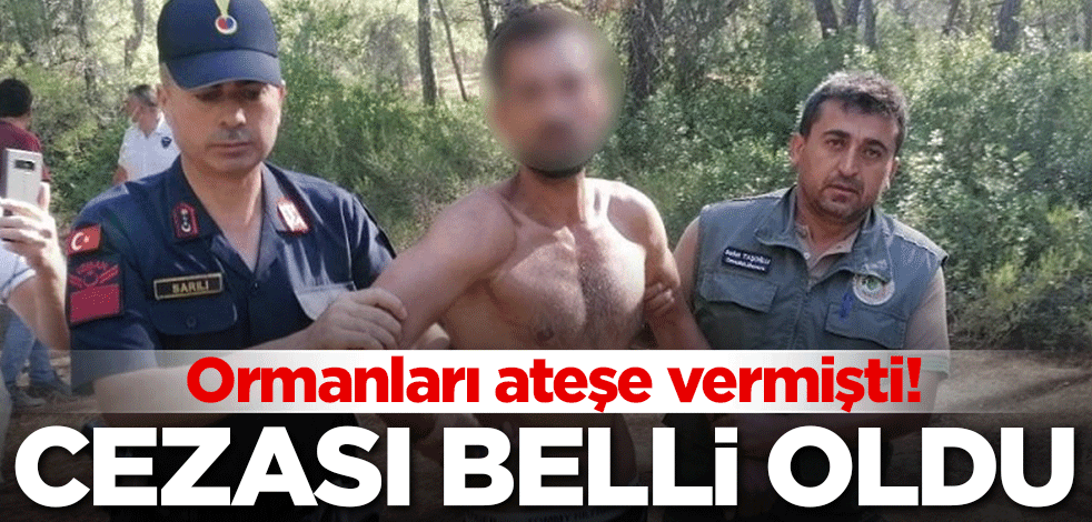 Ormanları ateşe veren şahısın cezası belli oldu