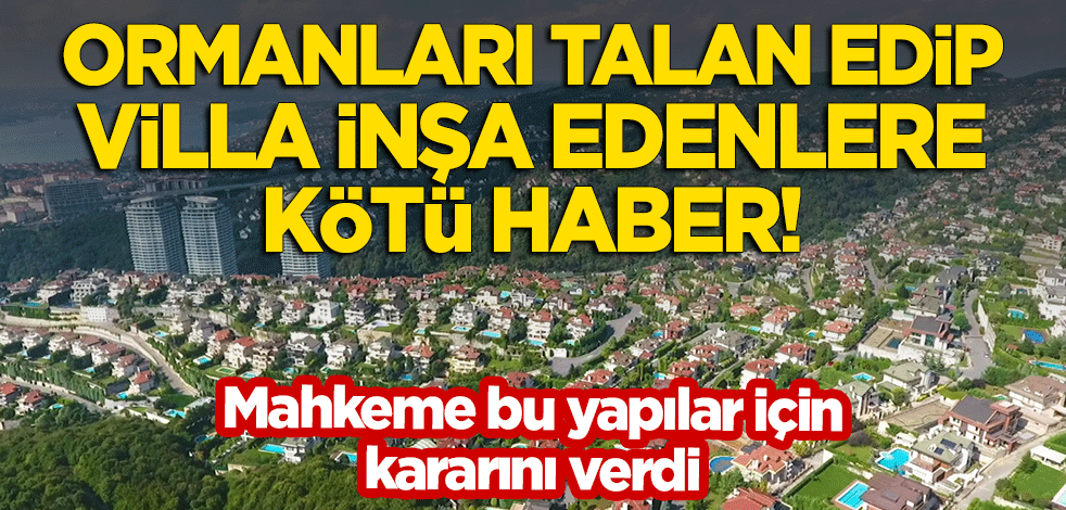 Ormanları talan eden villa sahiplerine kötü haber! Mahkeme kararını verdi