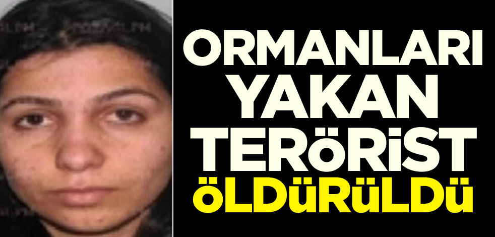 Ormanları yakan terörist öldürüldü
