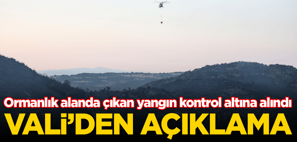 Ormanlık alanda çıkan yangın kontrol altına alındı! Vali'den açıklama