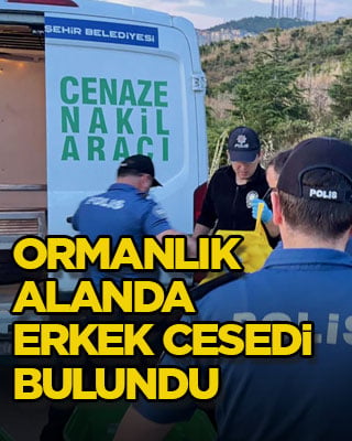 Ormanlık alanda erkek cesedi bulundu