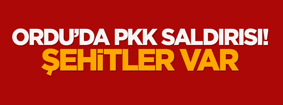 Ormanlık alandan ateş açıldı! Şehitler var