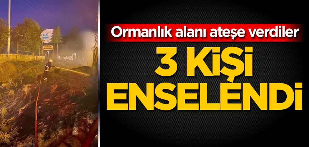 Ormanlık alanı ateşe verdiler! 3 kişi enselendi