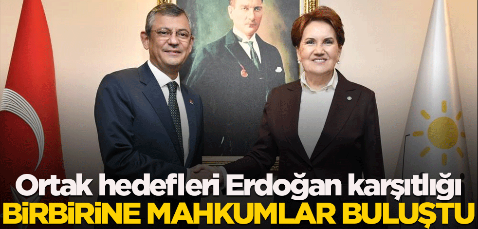 Ortak hedefleri Erdoğan karşıtlığı! Birbirine mahkumlar buluştu