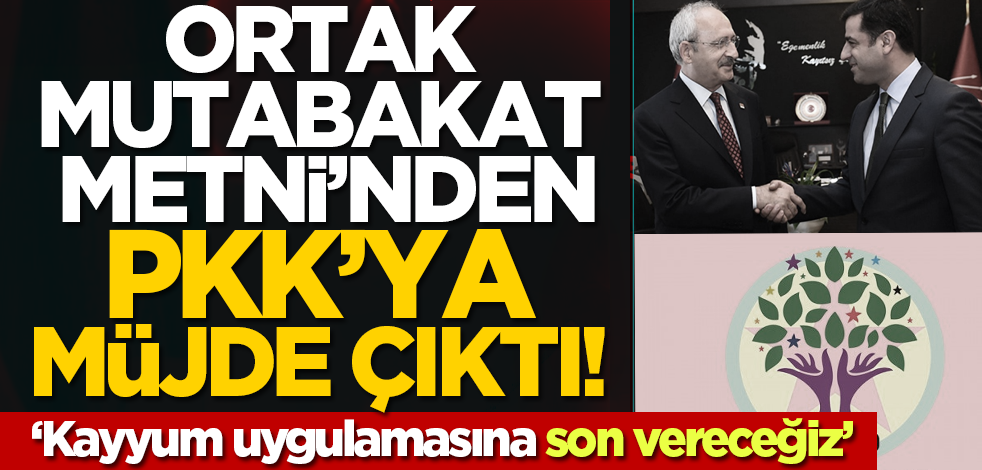 Ortak Mutabakat Metni’nden PKK’ya müjde çıktı! ‘Kayyum uygulamasına son vereceğiz’