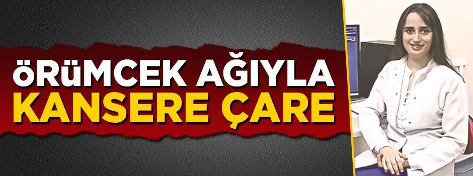 Örümcek ağıyla kansere çare