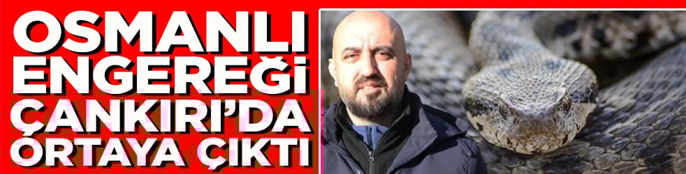 Osmanlı Engereği Çankırı’da ortaya çıktı