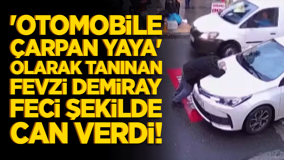 'Otomobile çarpan yaya' olarak tanınan Fevzi Demiray feci şekilde can verdi!