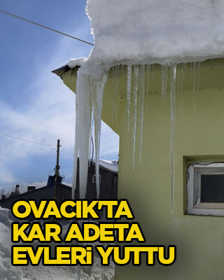 Ovacık'ta kar adeta evleri yuttu