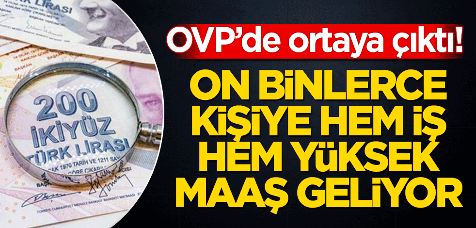 OVP’de ortaya çıktı! Onbinerce kişiye hem iş hem yüksek maaş geliyor