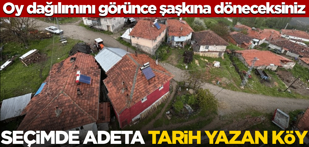 Oy dağılımını görünce şaşkına döneceksiniz! Seçimde adeta tarih yazan köy