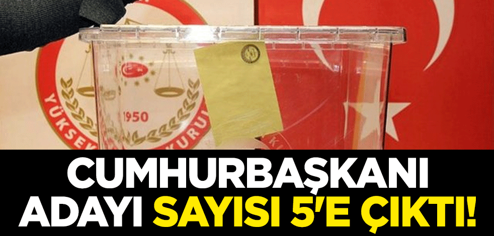 Oy pusulasındaki isim sayısı 5'e çıktı! Vatan Partisi, Doğu Perinçek'in Cumhurbaşkanı adaylığını duyurdu