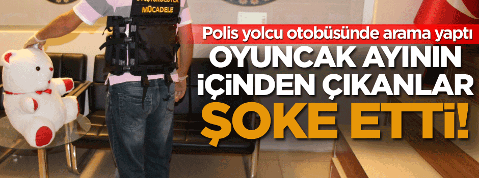 Oyuncak ayının içinden çıkanlar şoke etti!