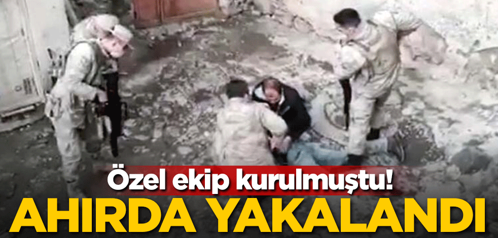 Özel ekip kurulmuştu! Ahırda yakalandı