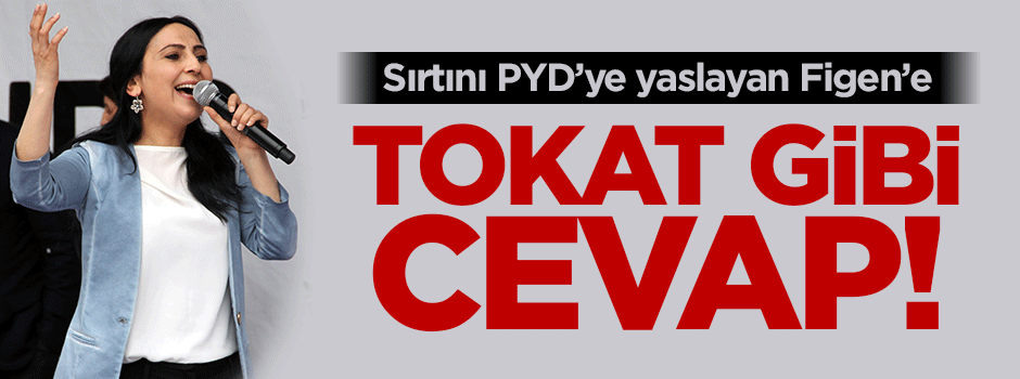 Özel harekat polislerinden Figen' Yüksekdağ'a tokat gibi cevap!