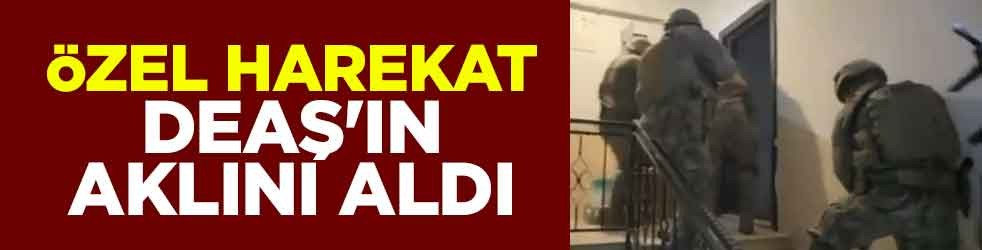 Özel harekat DEAŞ'ın aklını aldı