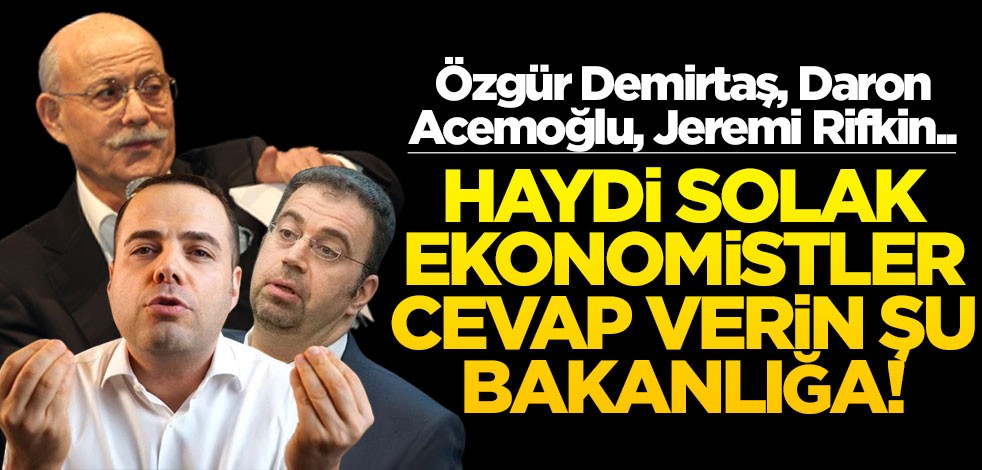Özgür Demirtaş, Daron Acemoğlu, Jeremi Rifkin.. Haydi solak ekonomistler cevap verin şu bakanlığa!