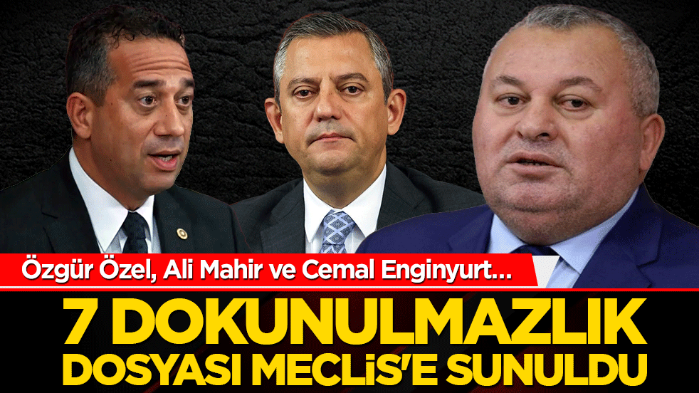 Özgür Özel, Ali Mahir ve Cemal Enginyurt… 7 dokunulmazlık dosyası Meclis'e sunuldu