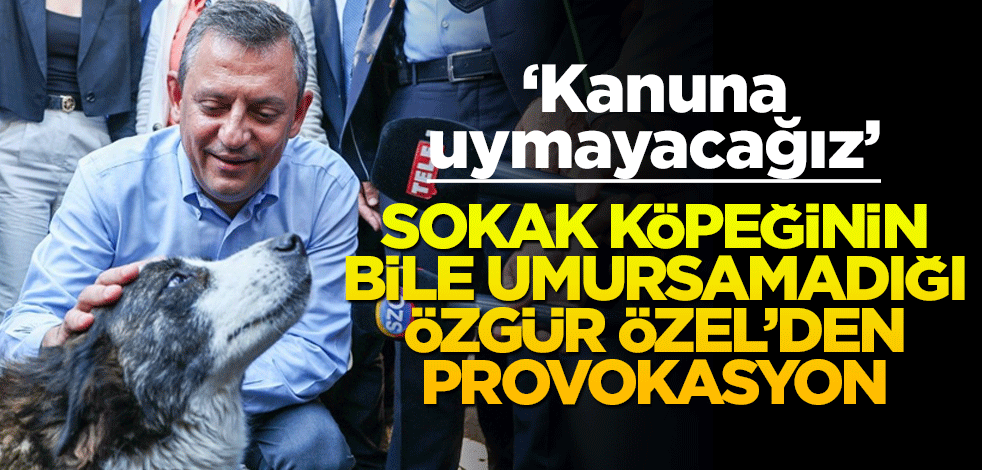 Özgür Özel'den "kanuna uymayacağız" çıkışı! Yine AYM’ye koşacaklar