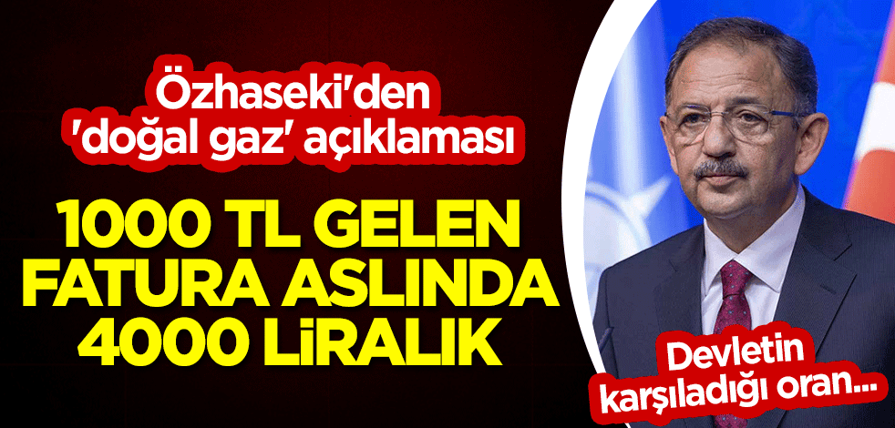 Özhaseki'den 'doğal gaz' açıklaması: 1000 TL gelen fatura aslında 4000 liralık