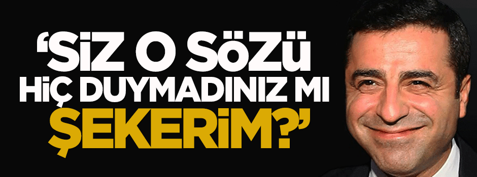 Özışık: Siz o sözü hiç duymadınız mı şekerim?