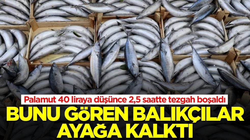 Palamut 40 liraya düşünce 2,5 saatte tezgah boşaldı: Bunu gören balıkçılar ayağa kalktı