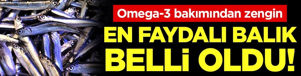 Omega-3 açısından zengin: En faydalı balık belli oldu!