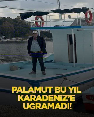 Palamut bu yıl Karadeniz’e uğramadı!