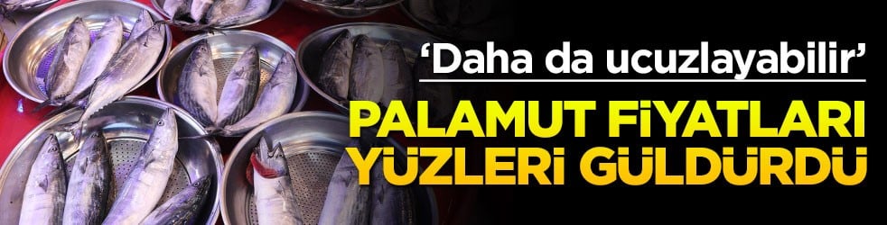 Palamut fiyatları yüz güldürdü! 'Daha da ucuzlayabilir'