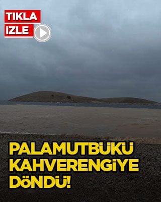 Palamutbükü kahverengiye döndü!