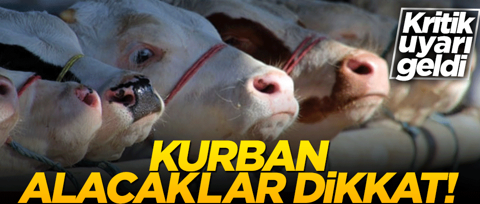 Palandöken'den kritik 'Kurban' uyarısı! "Dolandırıcılara dikkat edin"