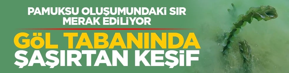 Pamuksu oluşumundaki sır merak ediliyor: Göl tabanında şaşırtan keşif