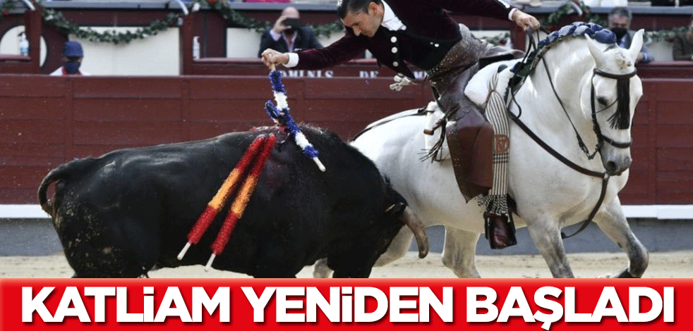 Pandemi nedeniyle ara verilmişti... Boğa katliamına yeniden başlandı!