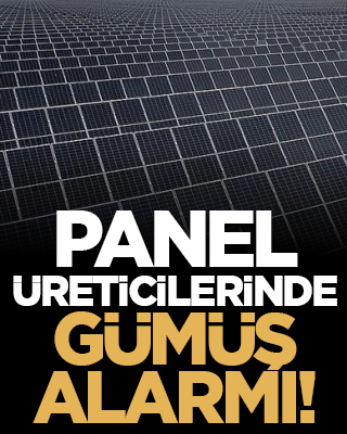 Panel üreticilerinde gümüş alarmı!