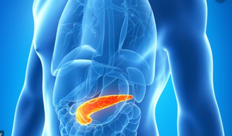 Pankreas hastaları ne yemeli ne yememeli?