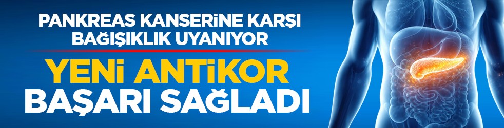 Pankreas kanserine karşı bağışıklık uyanıyor: Yeni antikor başarı sağladı