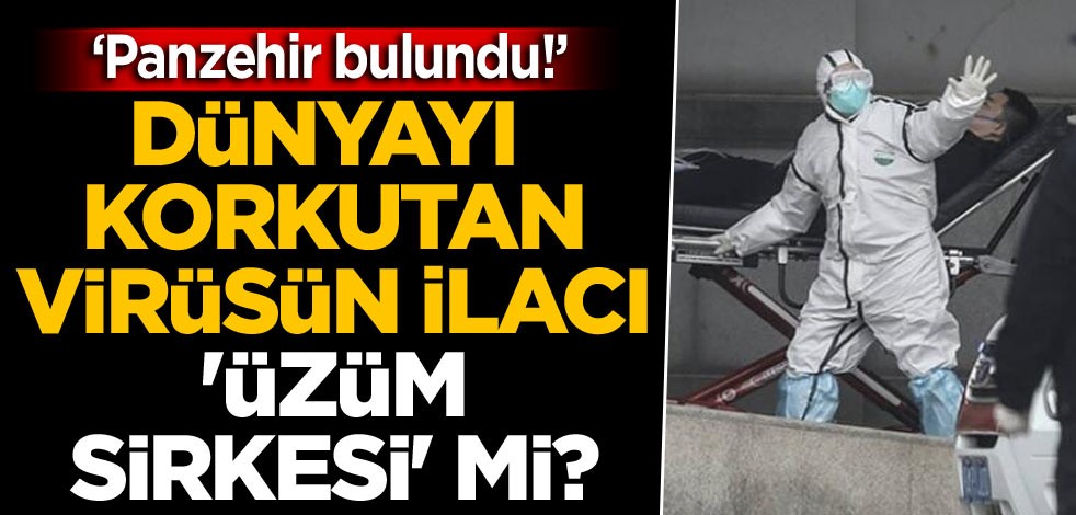‘Panzehir’ bulundu! Dünyayı korkutan virüsün ilacı 'üzüm sirkesi' mi?