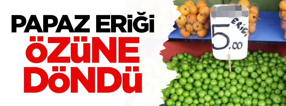 Papaz erik özüne döndü