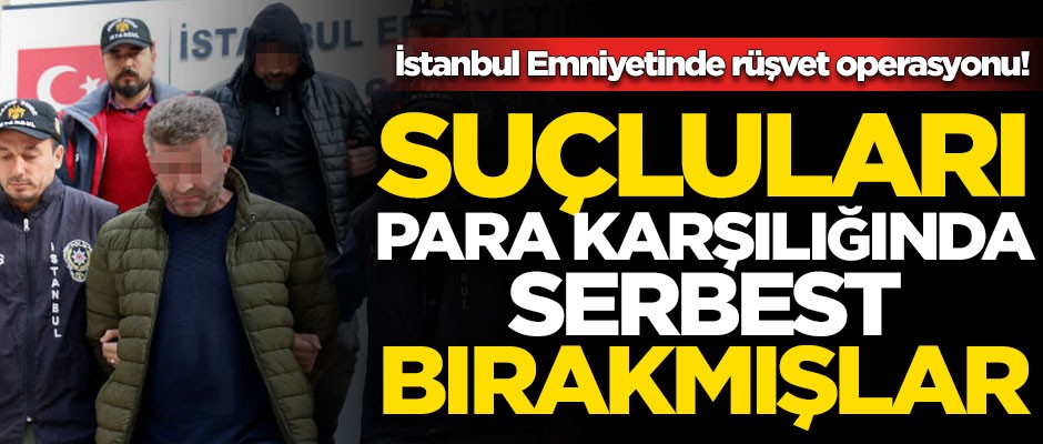 Para karşılığında suçluları serbest bırakmışlar! İstanbul'da rüşvet operasyonu