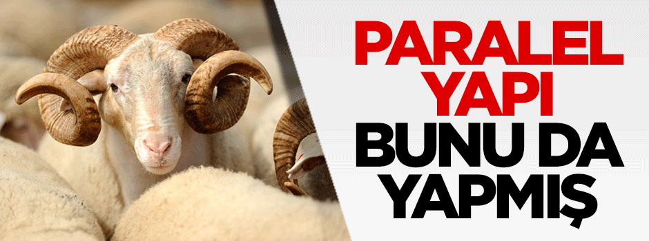 Paralel Yapı bunu da yapmış