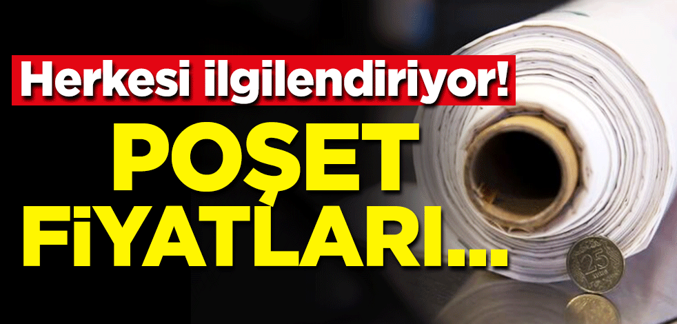 Paralı poşet uygulamasında ikinci yıl geride kaldı! "Fiyat 25 kuruşta sabit kalsın"