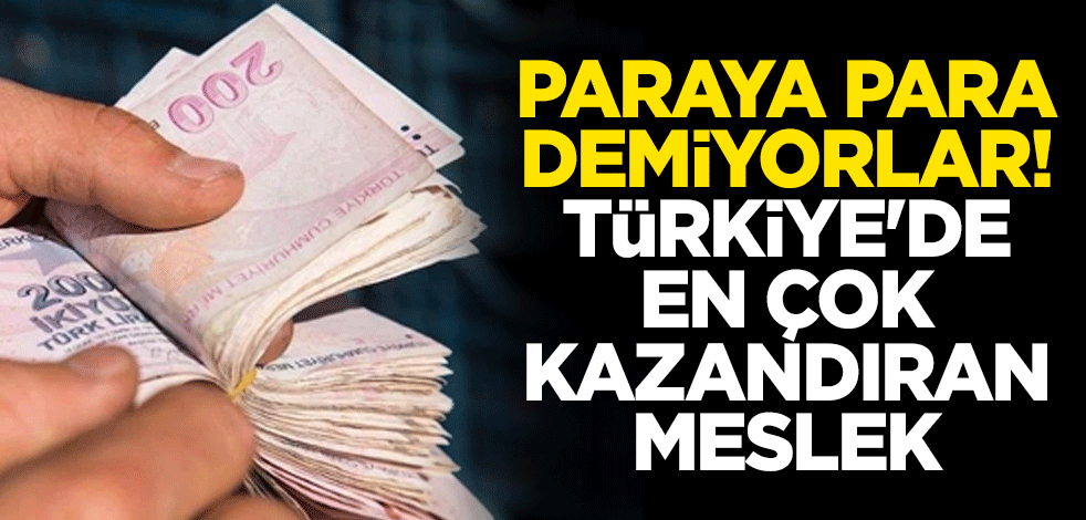 Paraya para demiyorlar! Türkiye'de en çok kazandıran meslek