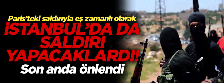 Paris saldırısıyla aynı gün İstanbul'da eylem yapacaklardı!