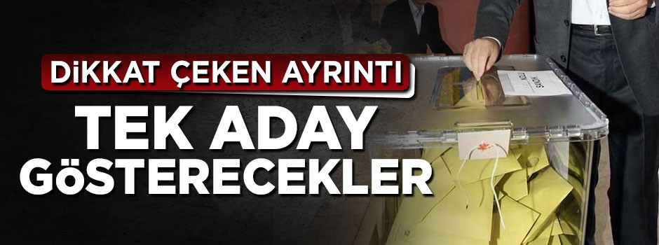 Partiler Cumhurbaşkanlığı seçimlerinde tek aday gösterebilecek